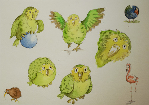 More Kakapo Doodles! The World Needs More Kakapos!