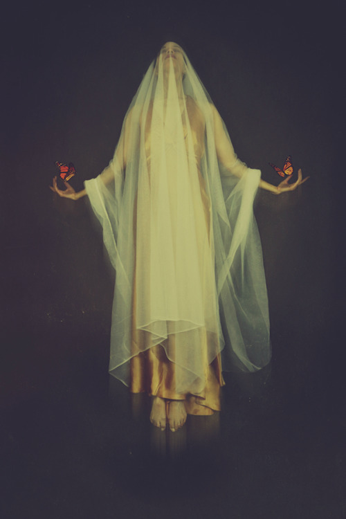 Josephine Cardin - Artist from NY, USA.