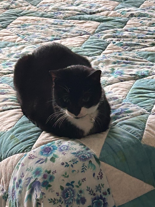 My Beautiful Baby Boy Just Tried To Drink Some Of MY FUCKING TEA