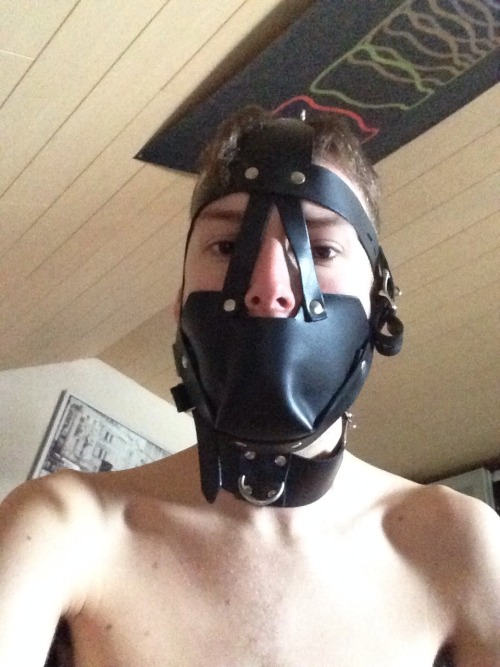 chainslavedogserving:Part of my new gear that arrived today, ballgag and headharness.  My first rubb