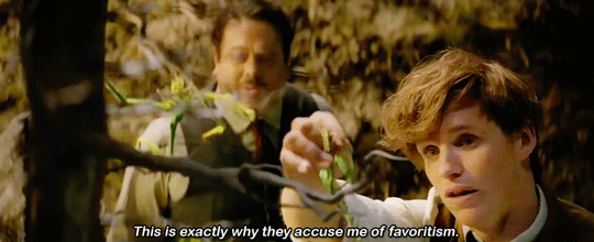 pottersource:#tbh i wouldn’t wanna leave newt’s side either 