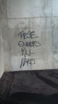 Queergraffiti:  “These Queers Kill Nazis” “Queer Riot” Found Under A Bridge