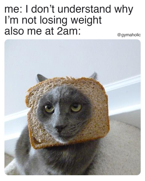 me: I don’t understand whyI’m not losing weight vs. also me at 2amhttps://www.gymaholic.co