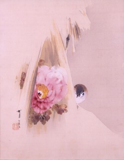 sumi-no-neko: 渡辺省亭 Watanabe Shōtei (1851 - 1874)雪中牡丹に雀 Sparrow and Peony, 1898
