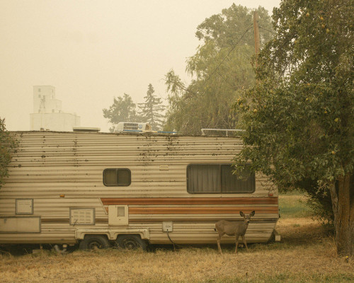 Photos taken during the wildfires - Brendon Burton