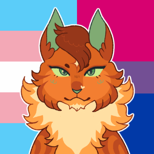 funguspaw:Happy pride month!For pride, I’ll be doing silly warriors pride icons! Here some the