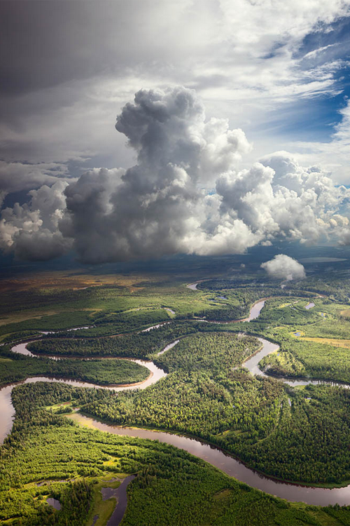 plasmatics-life:  Forest river | By Vladimir Melnikov 