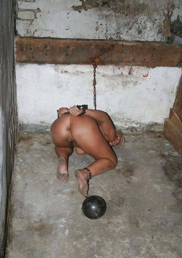 slavecafe:  How do you like your new home?