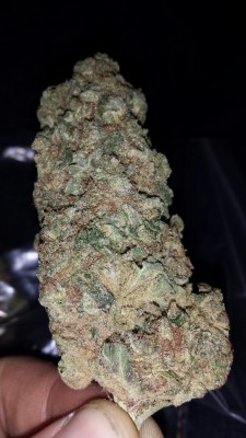 og-mafster: 7.2 grams nug of Purple Power