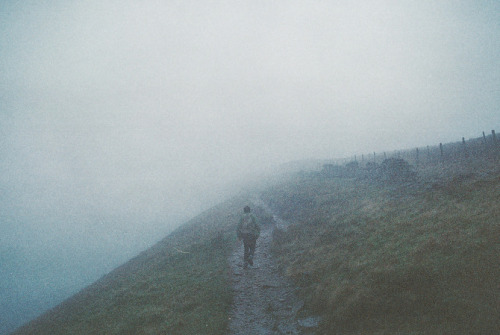 cerceos:  Thomas Luong Bavington - Whernside