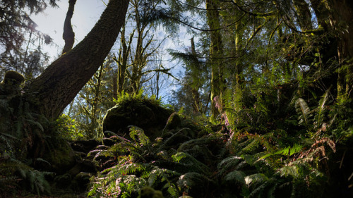 Enjoy The Silence by John Westrock on Flickr.