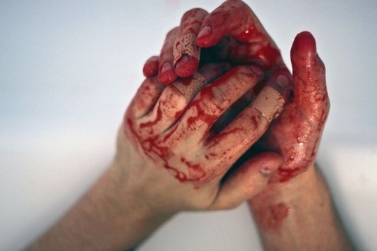 just-some-haematophilia:  