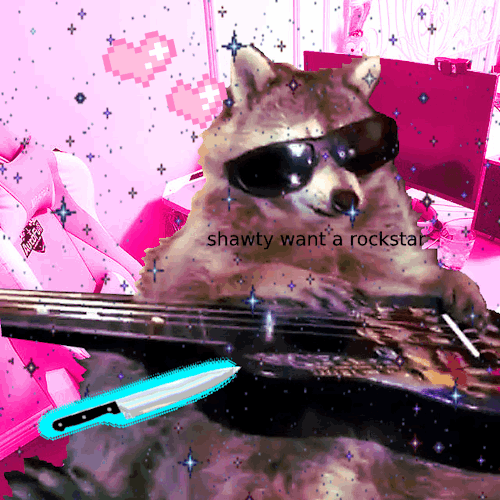 SHAWTY WANT A ROCK STAR !!