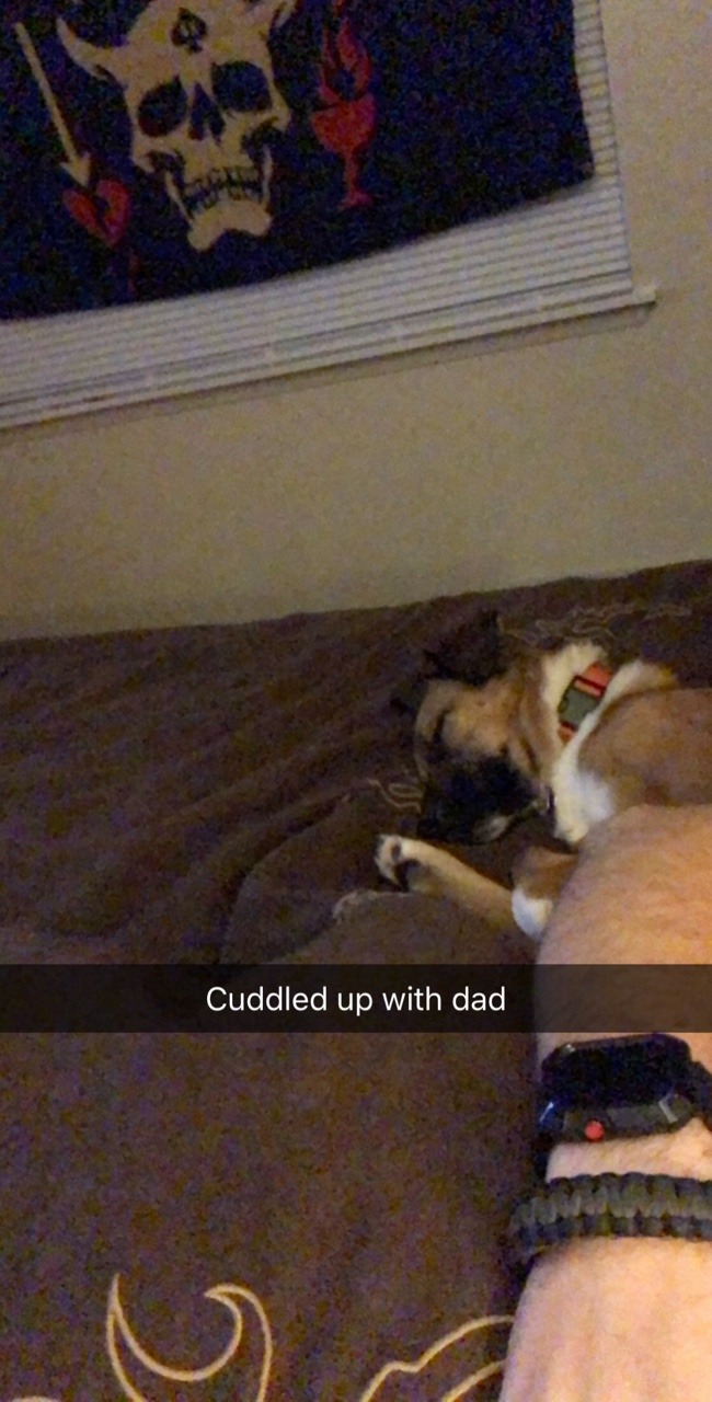 Makes my lonely nights a little better