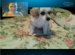 I Found Wifi That&Amp;Rsquo;S Fast Enough To Skype And I Got To See My Baby Today. Some