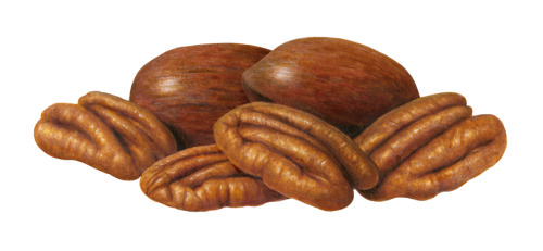 cravingsatmidnight: Pecans