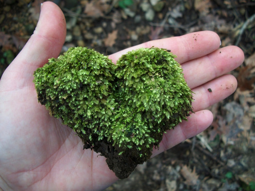 shadyufo:Mossy Rock Heart