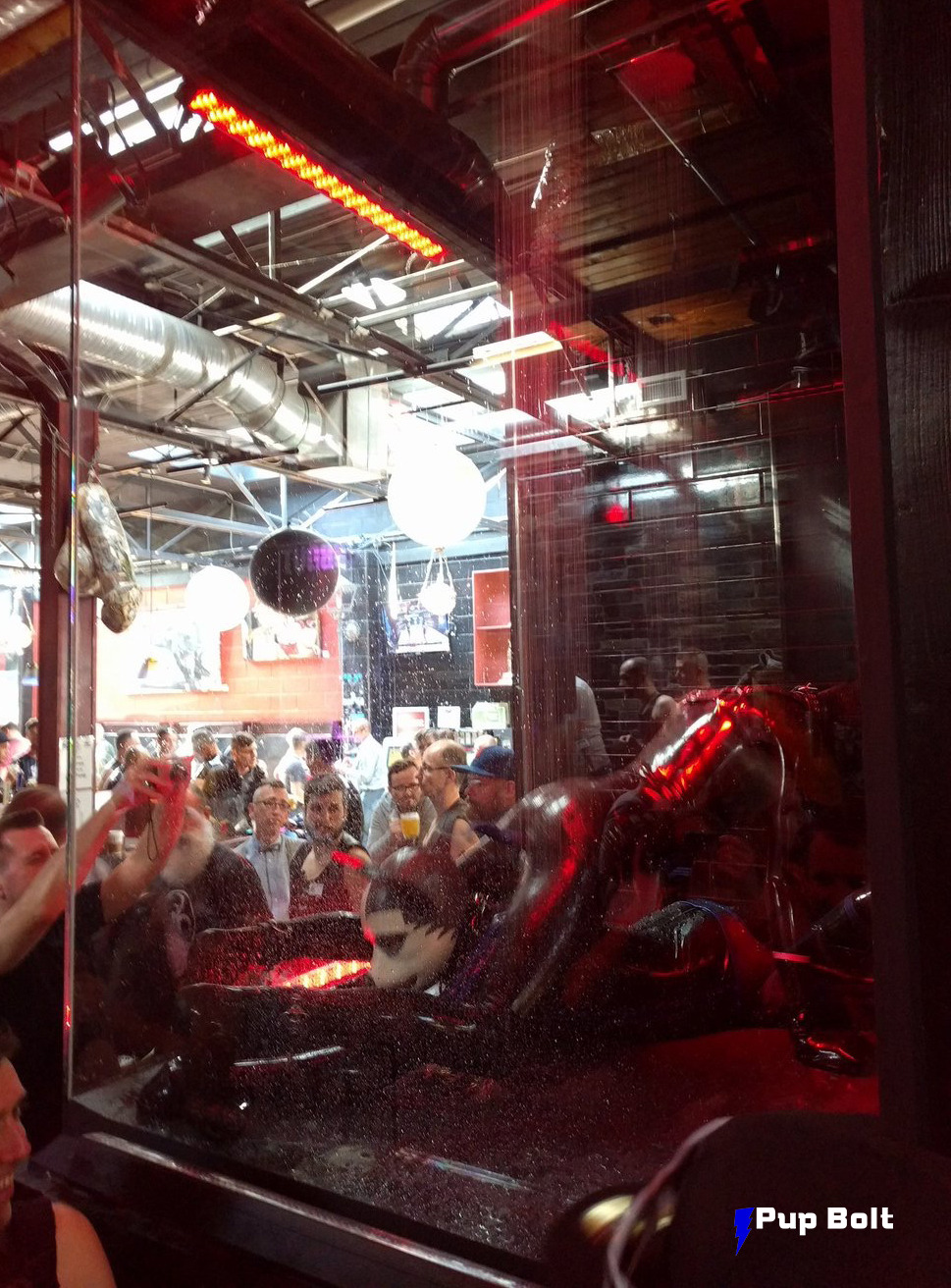 pupbolt:  The ‘Bolt &amp; Squeak Shower Show’ from the club the night before