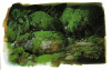 zegalba:Princess Mononoke (1997) background art