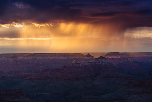 trnscndnt:Grand CanyonNydia Lilian