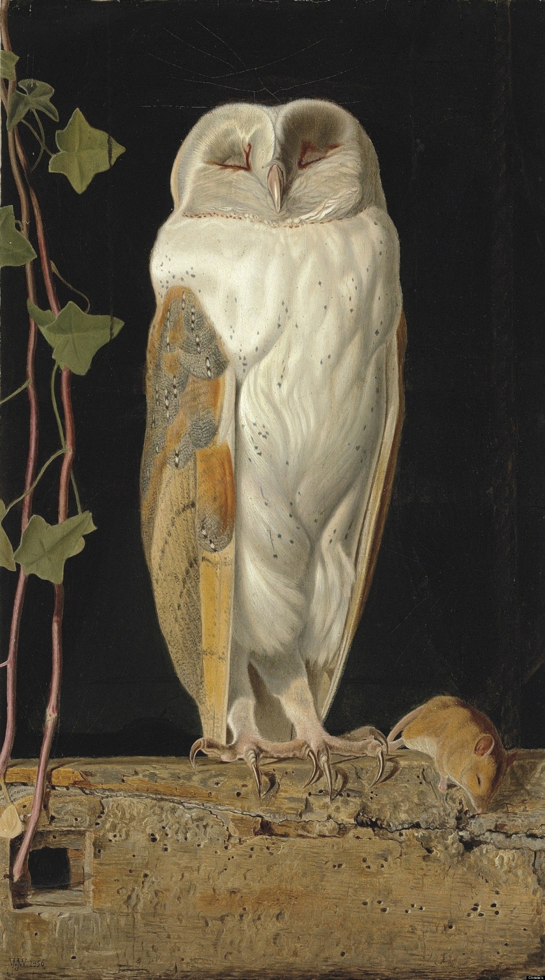 laclefdescoeurs: The White Owl, 1856, William James Webbe