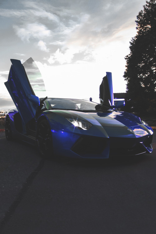 envyavenue - Galaxy Blue Aventador | Photographer