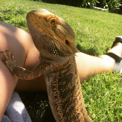 Hi!