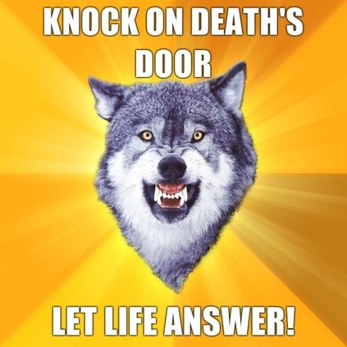 liversnap: a personal selection of best courage wolf 