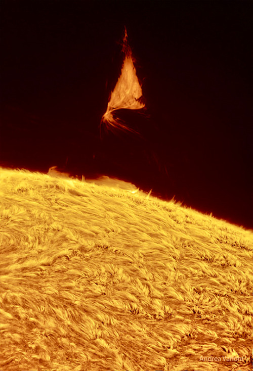 A Triangular Prominence