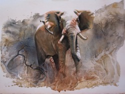 Unknowneditors:  Artist Karen Laurence-Rowe Is One Of Kenya’s Leading Wildlife