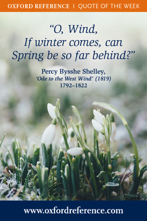 How are you gearing up for Spring?
Image provided by Unsplash