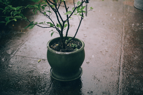 sophiekawalek:  Summer storms. 7/23/2013 porn pictures