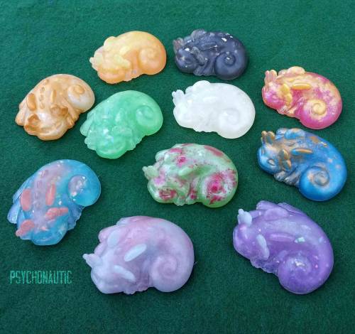 A whole bunch of baby salamanders have been added to my shop! The last 3 are sold at a discount beca