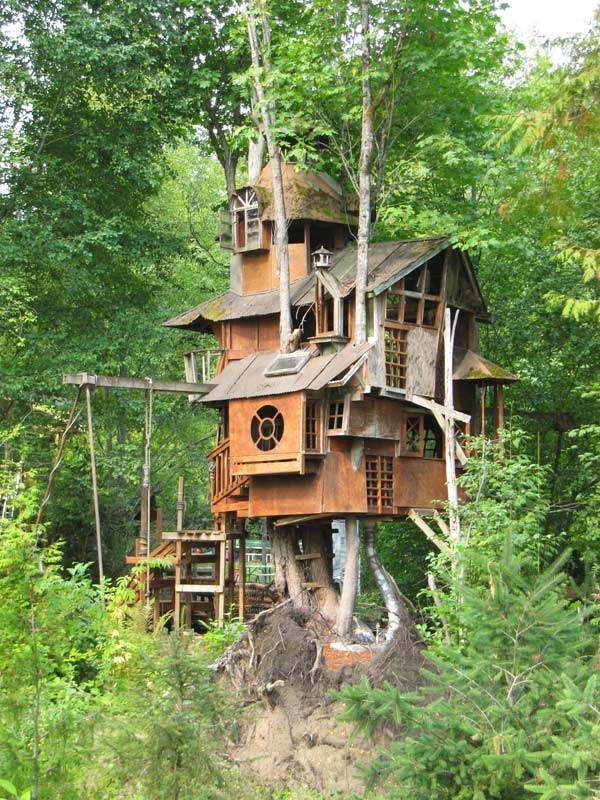 tommeurs:  Treehouse in Redmond, Washington [600x800]