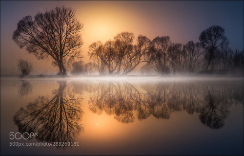 Goldener Morgen by FriedrichBeren