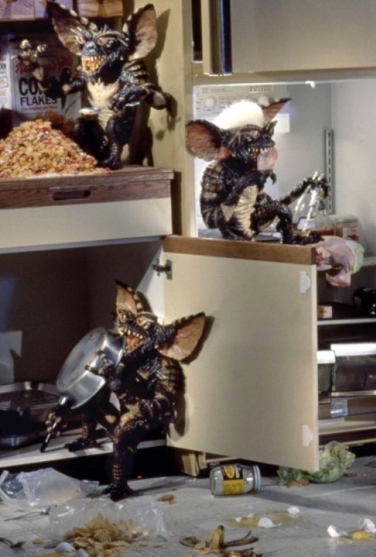 vintagesalt:  Gremlins (dir. Joe Dante, 1984) 