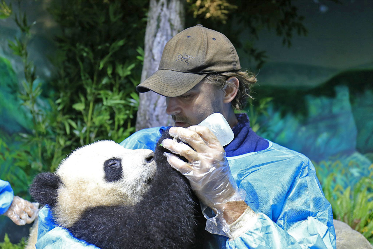 lucidentia:Lee Pace and his pandas ^_^