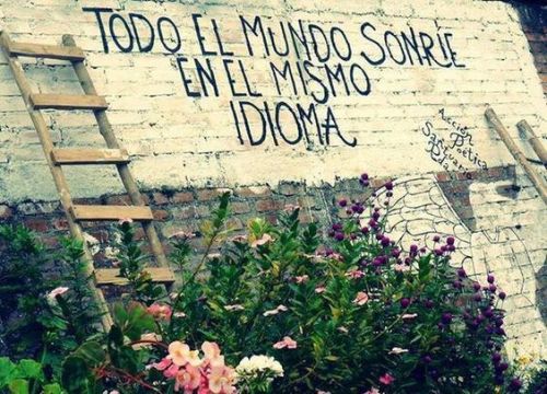 accionpoetica24:  *