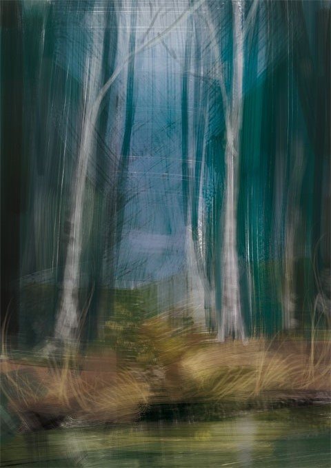 Environment Speedpainting, One More Forsest ~