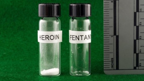 sixpenceee:This is fentanyl along side heroin. Equal fetal dosses of both are represented above.