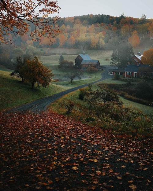 autumncottageattic:    folkscenery   