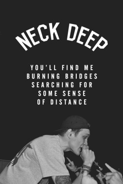 somuchdamnbandmerch:  What did you expect? | Neck Deep