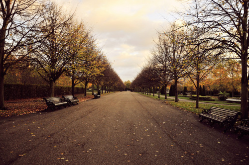 hellocozydays - Autumn in Regents Park by Jamyle Savaris