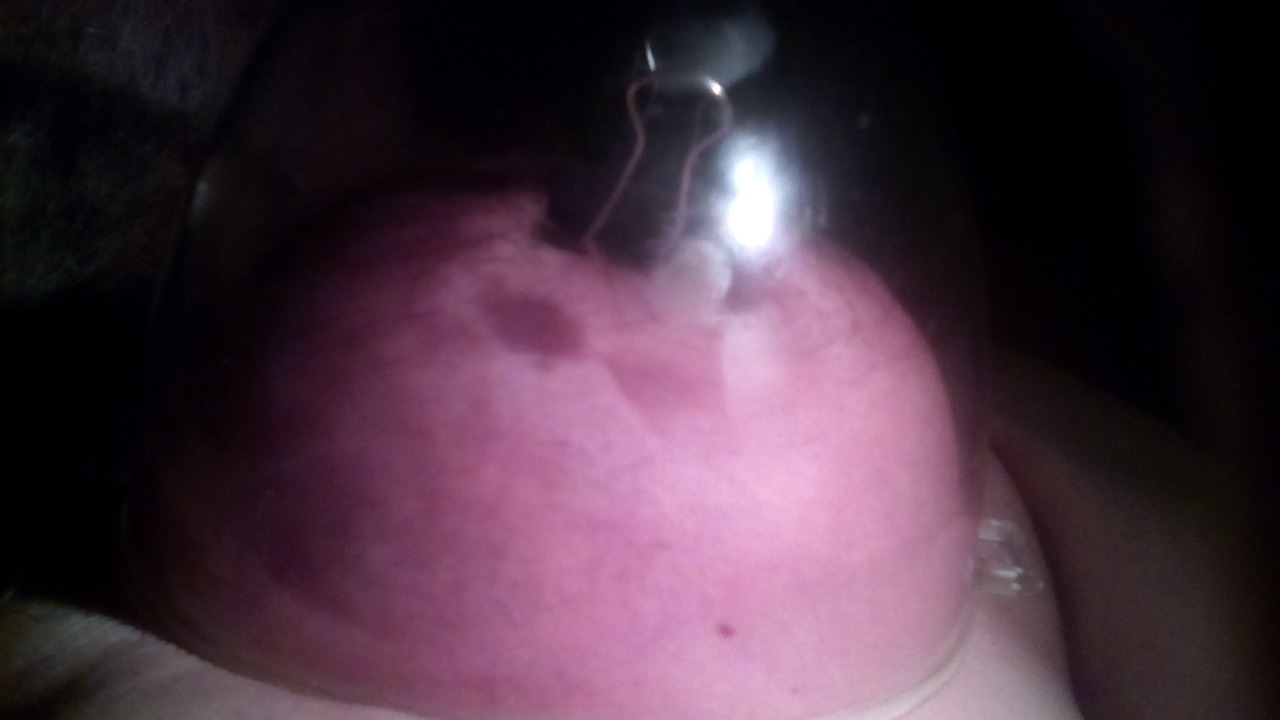 Schweinetitten
