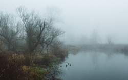 sitoutside:   Another World   by  John Westrock