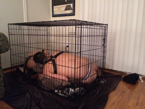 Cage and cuddle time with my buddy, Pup Trigger. *wags*