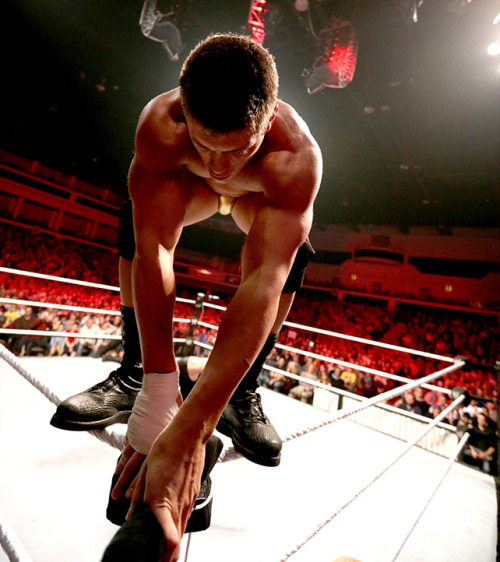 fishbulbsuplex:  Cody Rhodes 