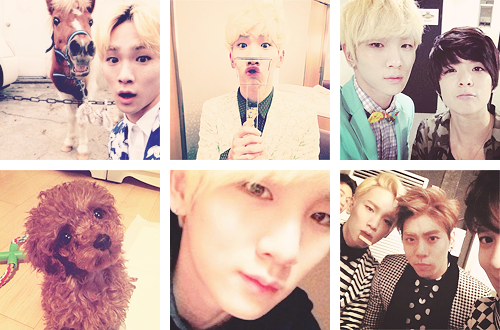 taegenie-blog:  Who the hell let Key have an Instagram? 