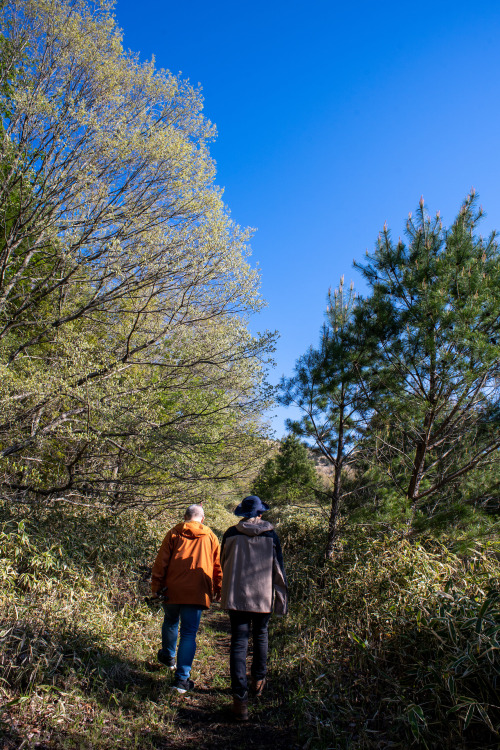 大分県九重への旅　その７涌蓋山へ。。。朝は牛タンの残りから始めることに。しかし、久しぶりのロングハイク（約6時間）は足腰に堪えますね。。。