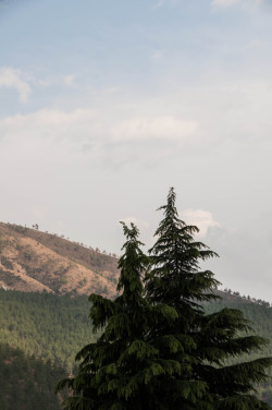 danlophotography:  Thimphu | Bhutan 